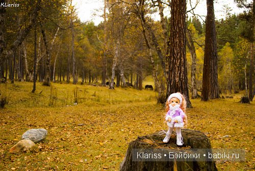 Осеннее путешествие Реми. LittelFee Ante Elf (фото 8)