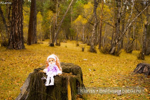 Осеннее путешествие Реми. LittelFee Ante Elf (фото 9)