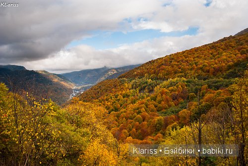 Реми. LittelFee Ante Elf