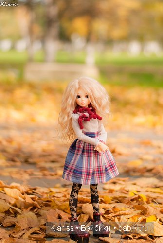 Осенняя прогулка | Бэйбики Осенняя прогулка — Куклы Fairyland (ФэйриЛэнд): BJD (БЖД) (фото 3)