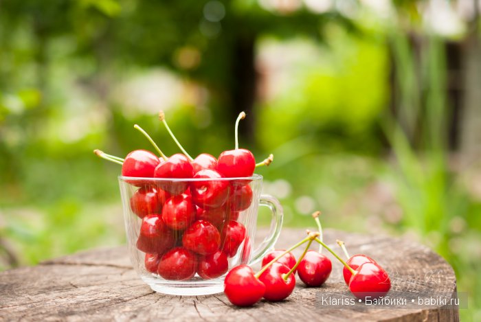 Очень маленькие куклы — Куклы Latidoll (Лати): BJD (БЖД)