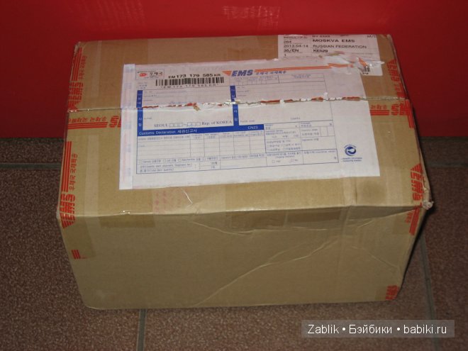 Люси и Мишель позируют. Момоколор