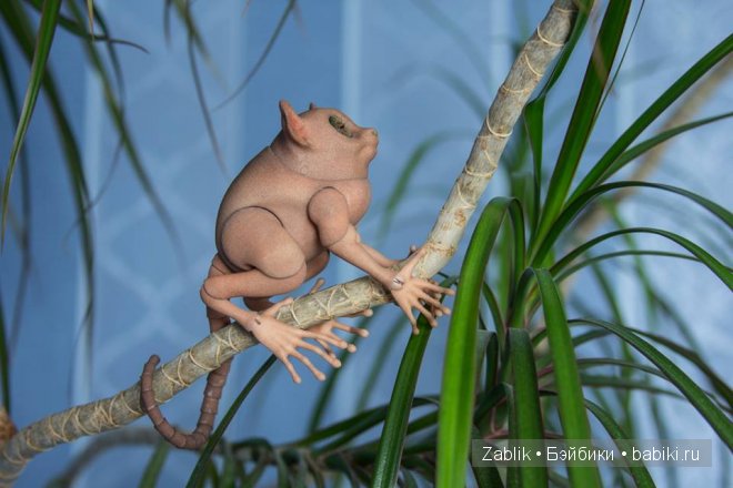 BJD Tarsier — Искусство авторской куклы: реализм (фото 6)
