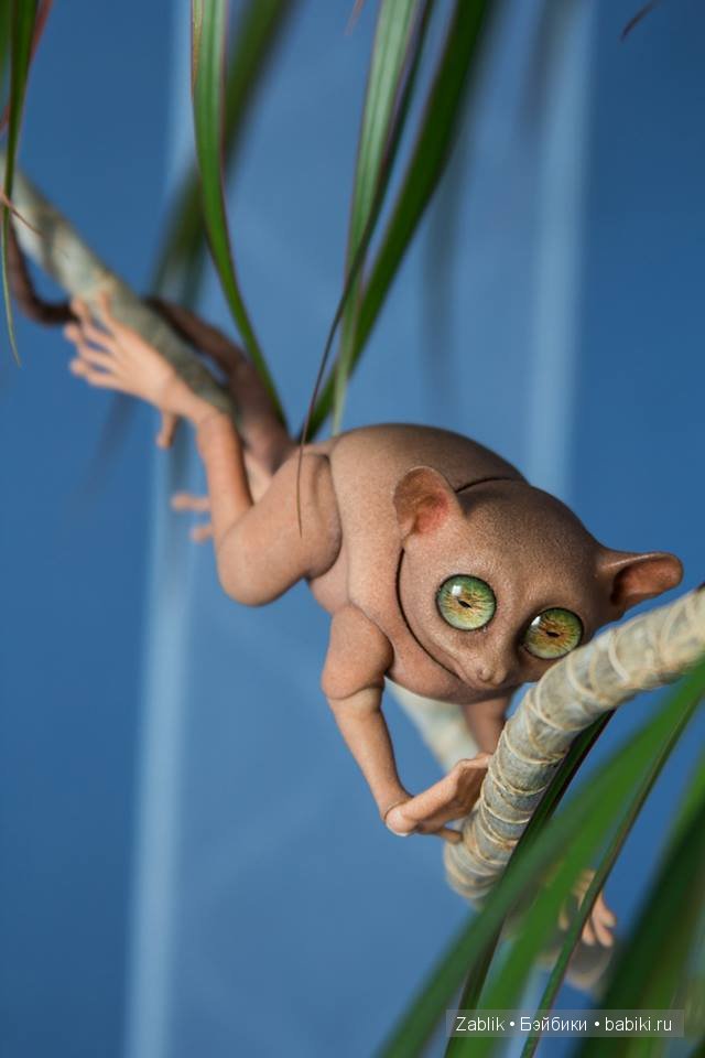 BJD Tarsier — Искусство авторской куклы: реализм