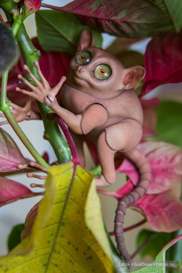 BJD Tarsier — Искусство авторской куклы: реализм (фото 4)