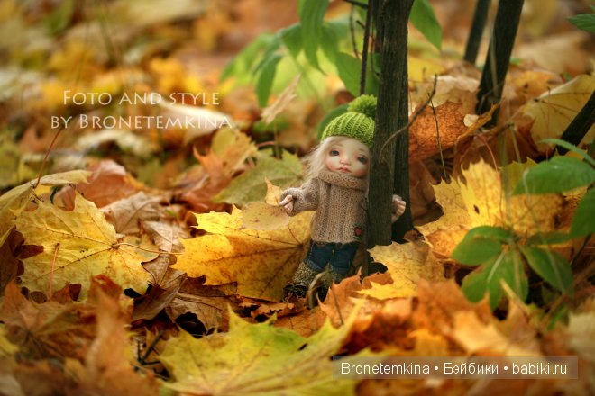 Филиппок и Агаша BJD Bronetemkina