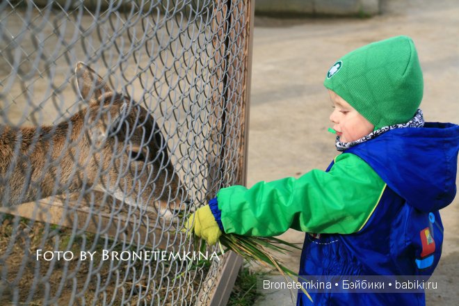 Небольшая прогулка по зоопарку экзотических животных (фото 7)