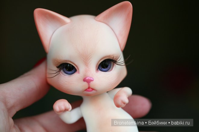 luts cat luts cat