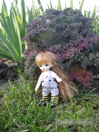 Осенние прогулки ))) малышки Рини