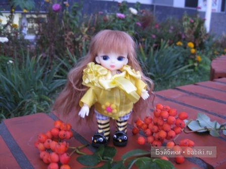 Осенние прогулки ))) малышки Рини (фото 5)