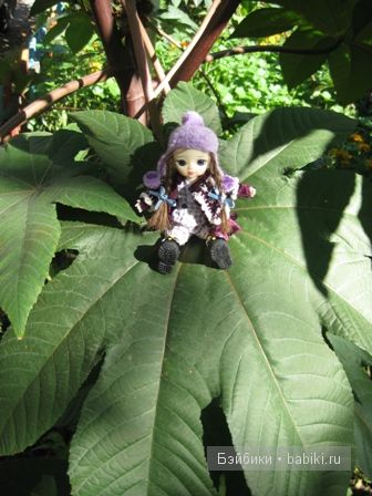 Осенние прогулки ))) малышки Рини