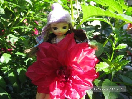 Осенние прогулки ))) малышки Рини