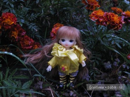 Осенние прогулки ))) малышки Рини (фото 6)