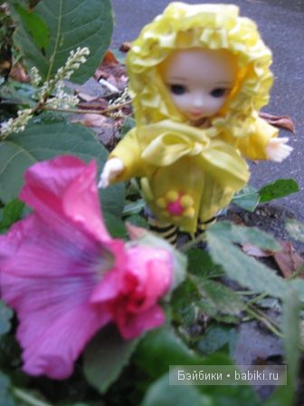 Осенние прогулки ))) малышки Рини (фото 7)