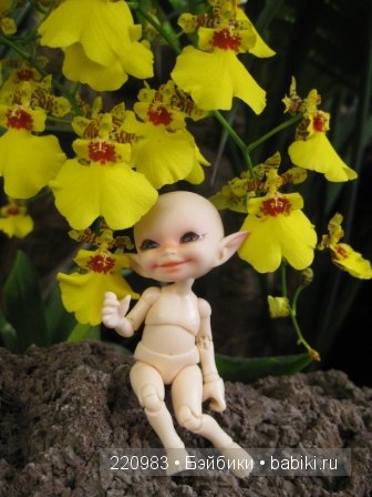 Первое путешествие Real Puki Soso. Испания 25.11.2012 (фото 2)