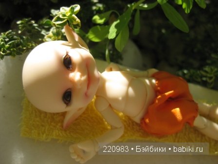 Первое путешествие Real Puki Soso. Испания 25.11.2012 (фото 10)