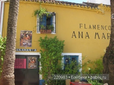 Первое путешествие Real Puki Soso. Испания 25.11.2012 (фото 7)