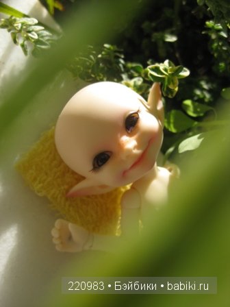 Первое путешествие Real Puki Soso. Испания 25.11.2012 (фото 9)