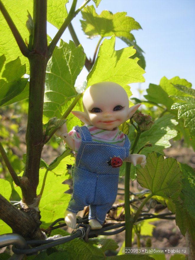 Ушастик во Франции (Real Puki Soso ) и Я в попутчиках