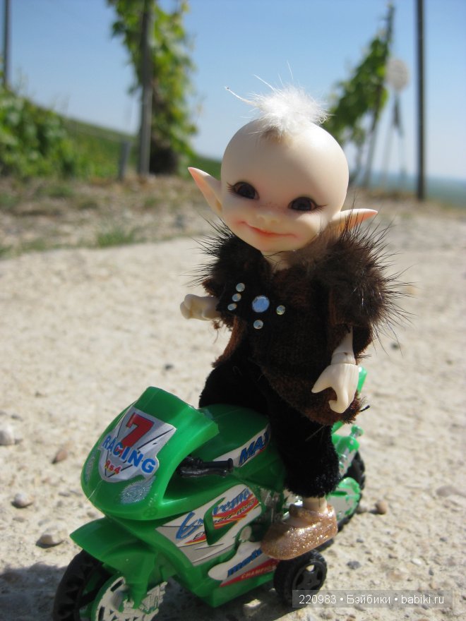 Ушастик во Франции (Real Puki Soso ) и Я в попутчиках (фото 7)