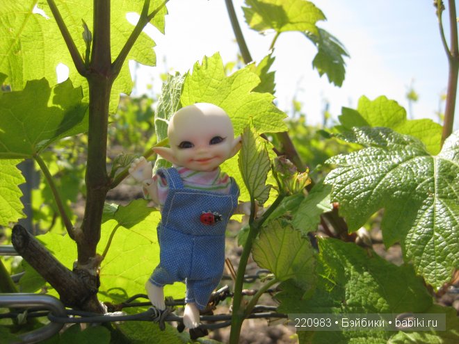 Ушастик во Франции (Real Puki Soso ) и Я в попутчиках