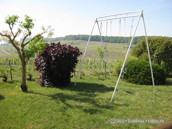 Ушастик во Франции (Real Puki Soso ) и Я в попутчиках