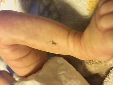 Мошенничество. Продажа куклы на Ебей (фото 6)