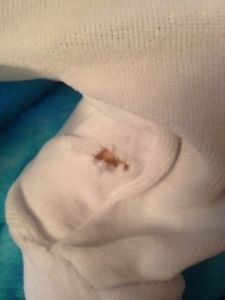 Мошенничество. Продажа куклы на Ебей