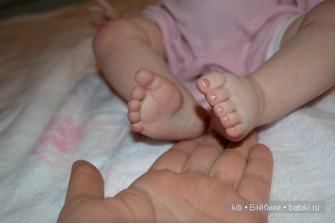 заболотникова екатерина