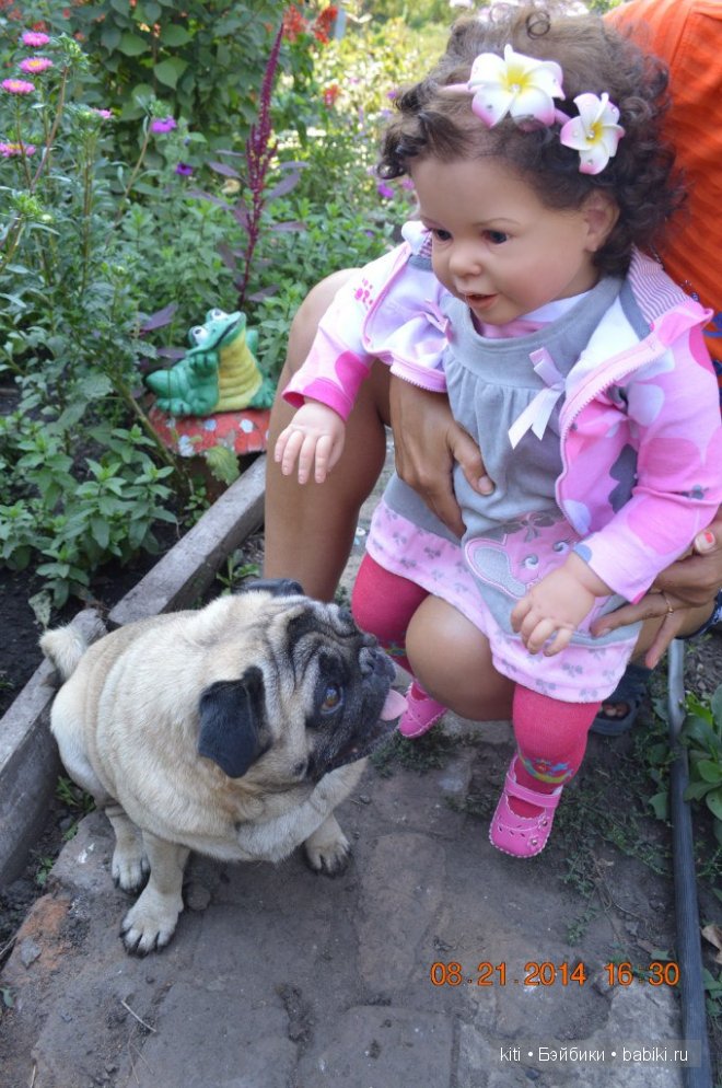 заболотникова