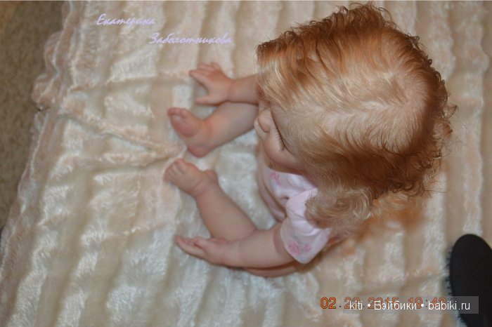 заболотникова екатерина