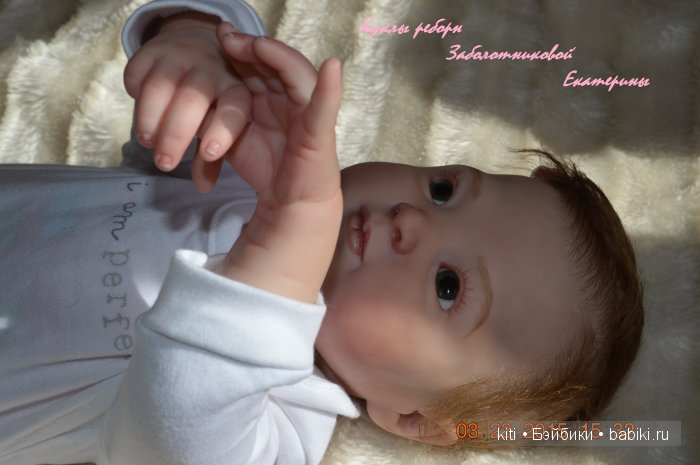 заболотникова екатерина