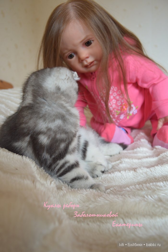 заболотникова екатерина