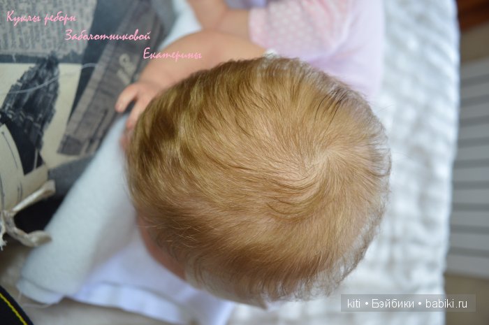 Заболотникова