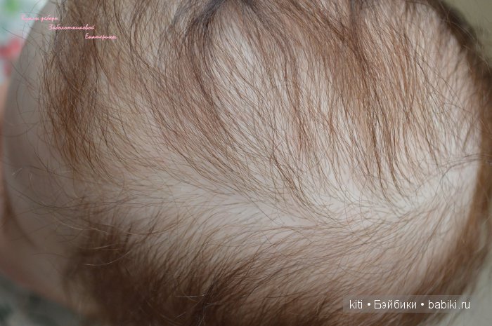 заболотникова екатерина