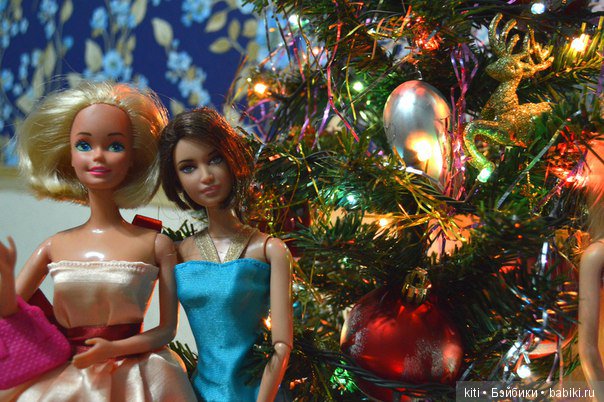 заболотникова екатерина