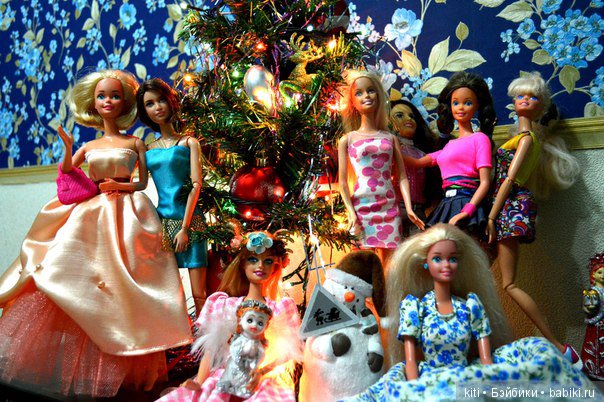 заболотникова екатерина