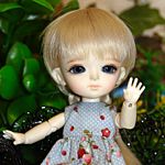 Забытая книга или Прогулка по волшебному саду