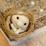 Крылатый гость под Новый Год