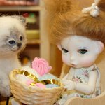 Вот что бывает, когда неожиданно приход Зима...