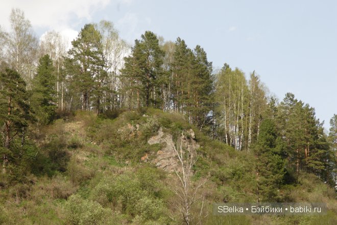 История продолжается — Куклы Peaks Woods (Пиксвудс): BJD (БЖД) (фото 7)