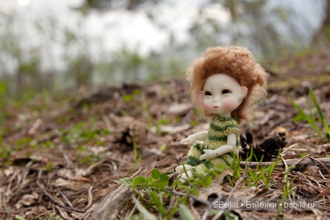 История продолжается — Куклы Peaks Woods (Пиксвудс): BJD (БЖД) (фото 9)