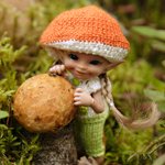 А вы любите собирать грибы?