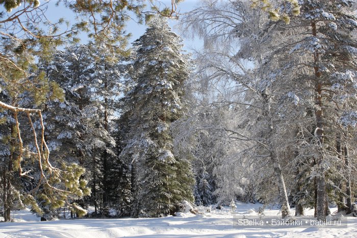 Лучше гор могут быть — Куклы Fairyland (ФэйриЛэнд): BJD (БЖД) (фото 2)