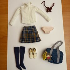 Аутфит Momoko Dash! After school