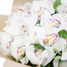 Моя Мия потихоньку оживает