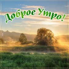 Волшебная лавка или как я во Владивосток съездила