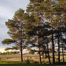 За минуту до сумерек...