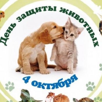 4 октября день защиты животных