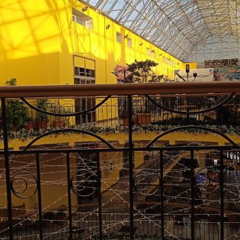 Не смогла пройти мимо